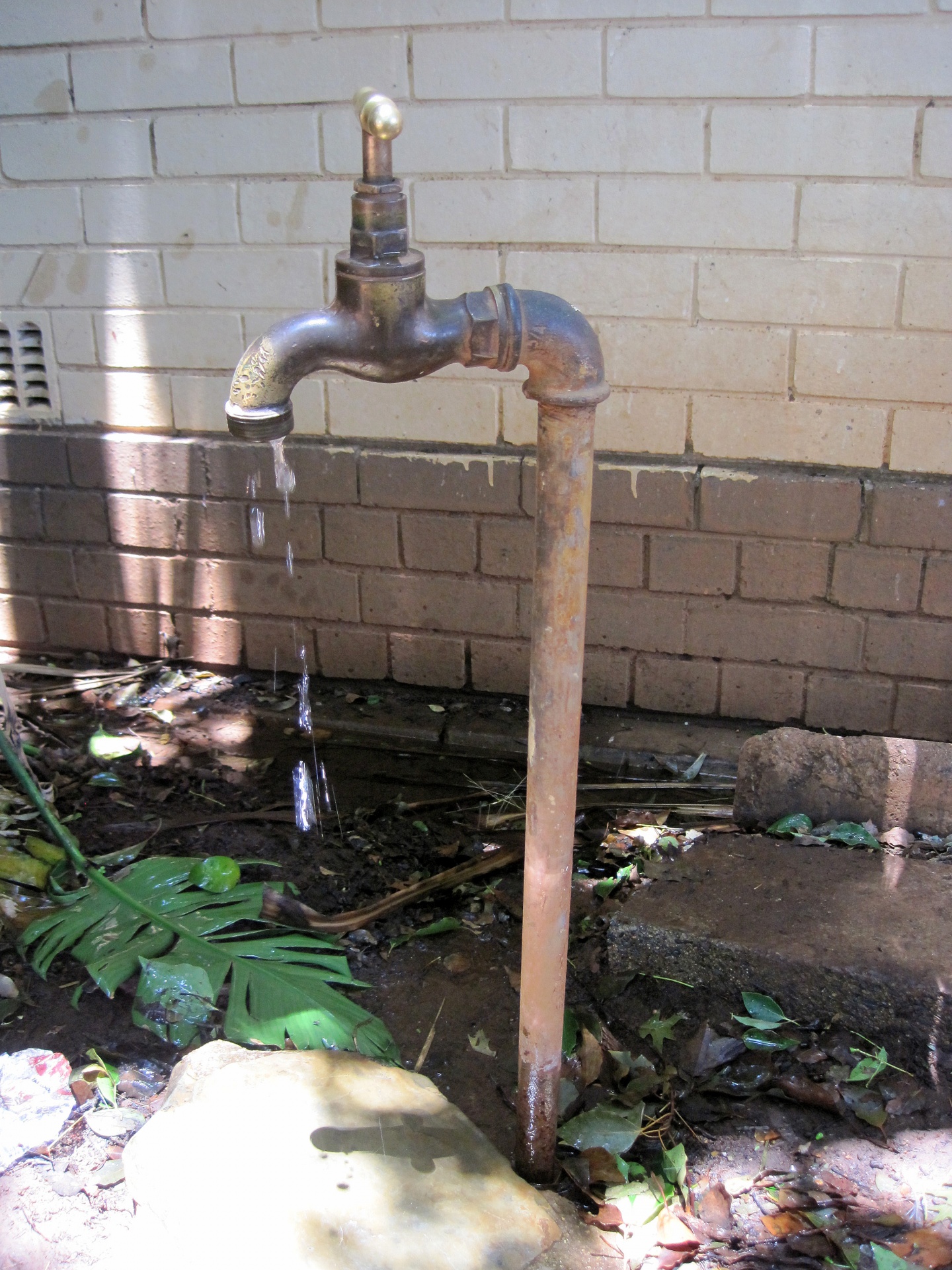 tap water leak free photo