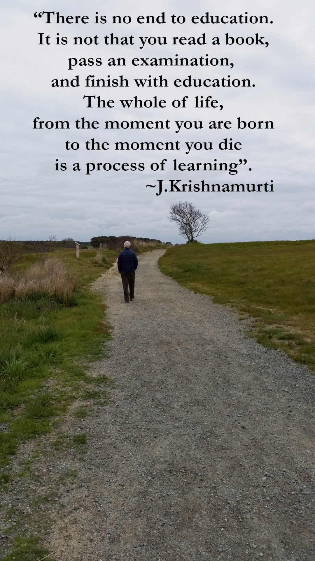 quote path learning free photo