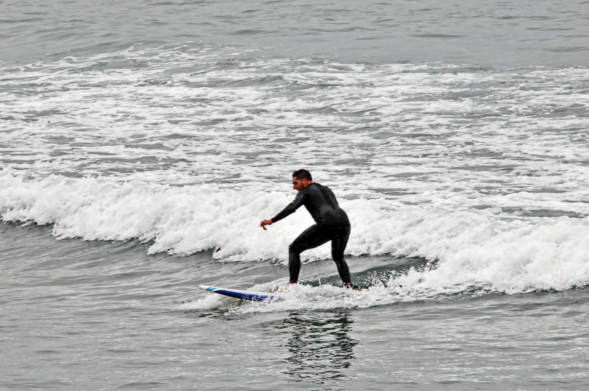 surf surfing ocean free photo