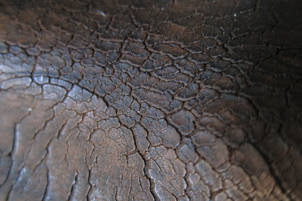 leather cracked shabby free photo