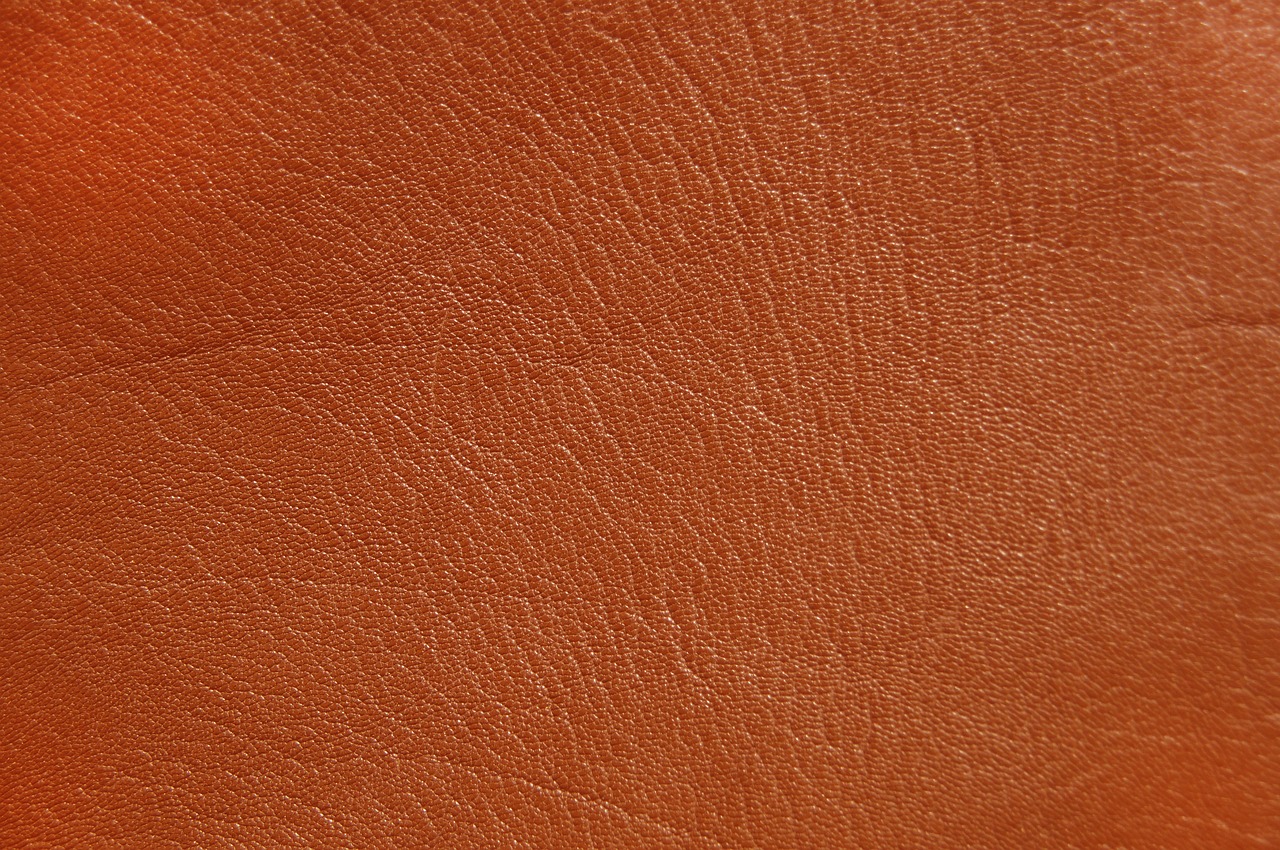 leather background structure free photo