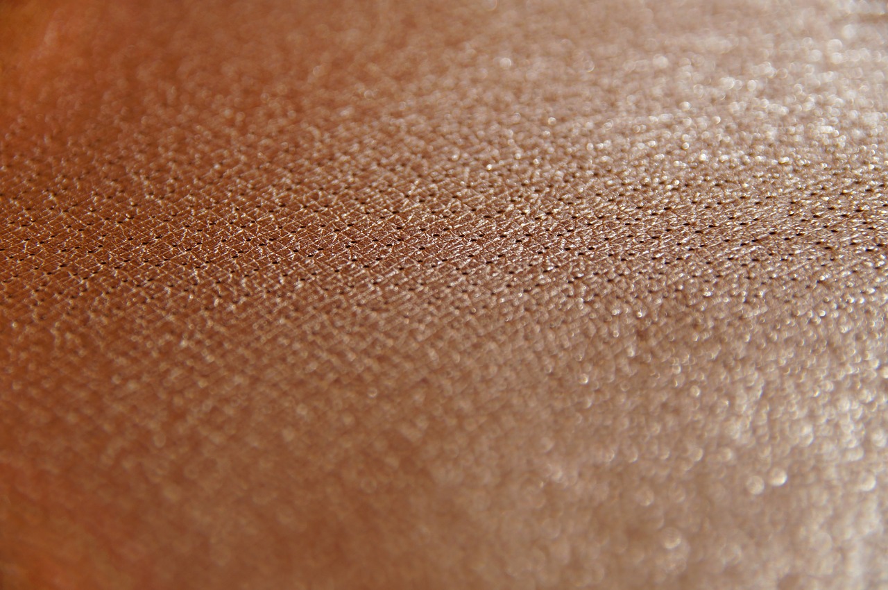 leather pores macro free photo