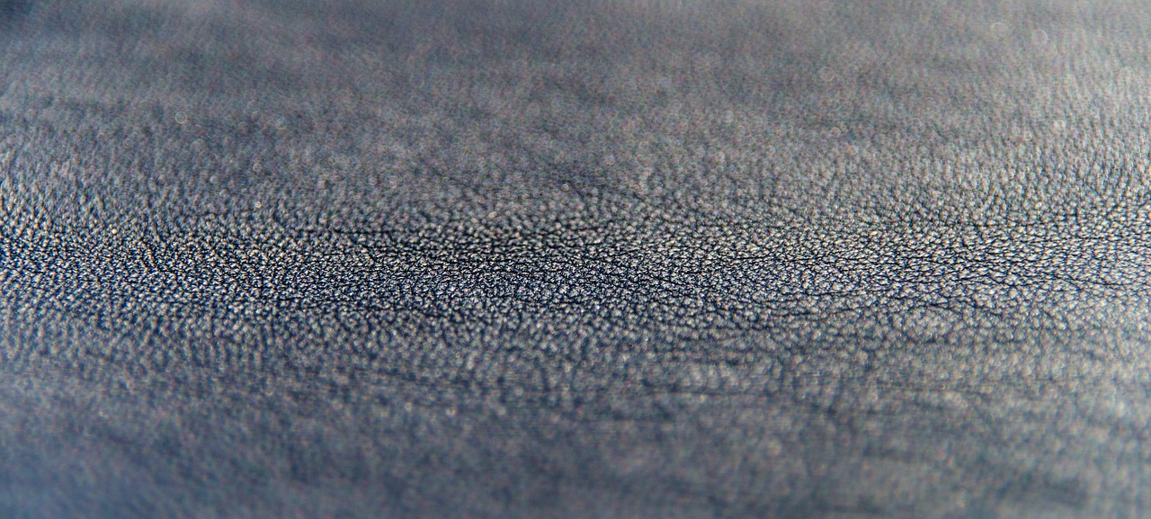 leather close bluegray free photo