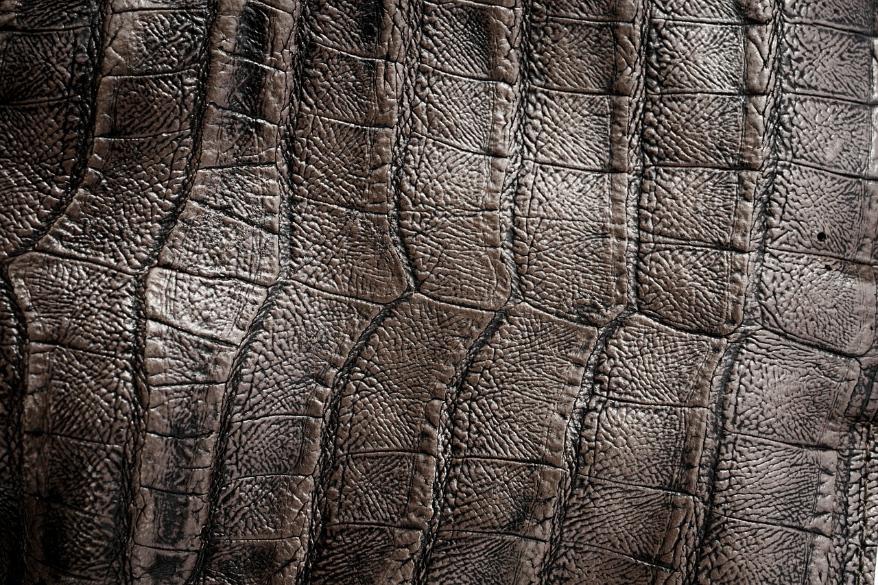 leather skin texture free photo