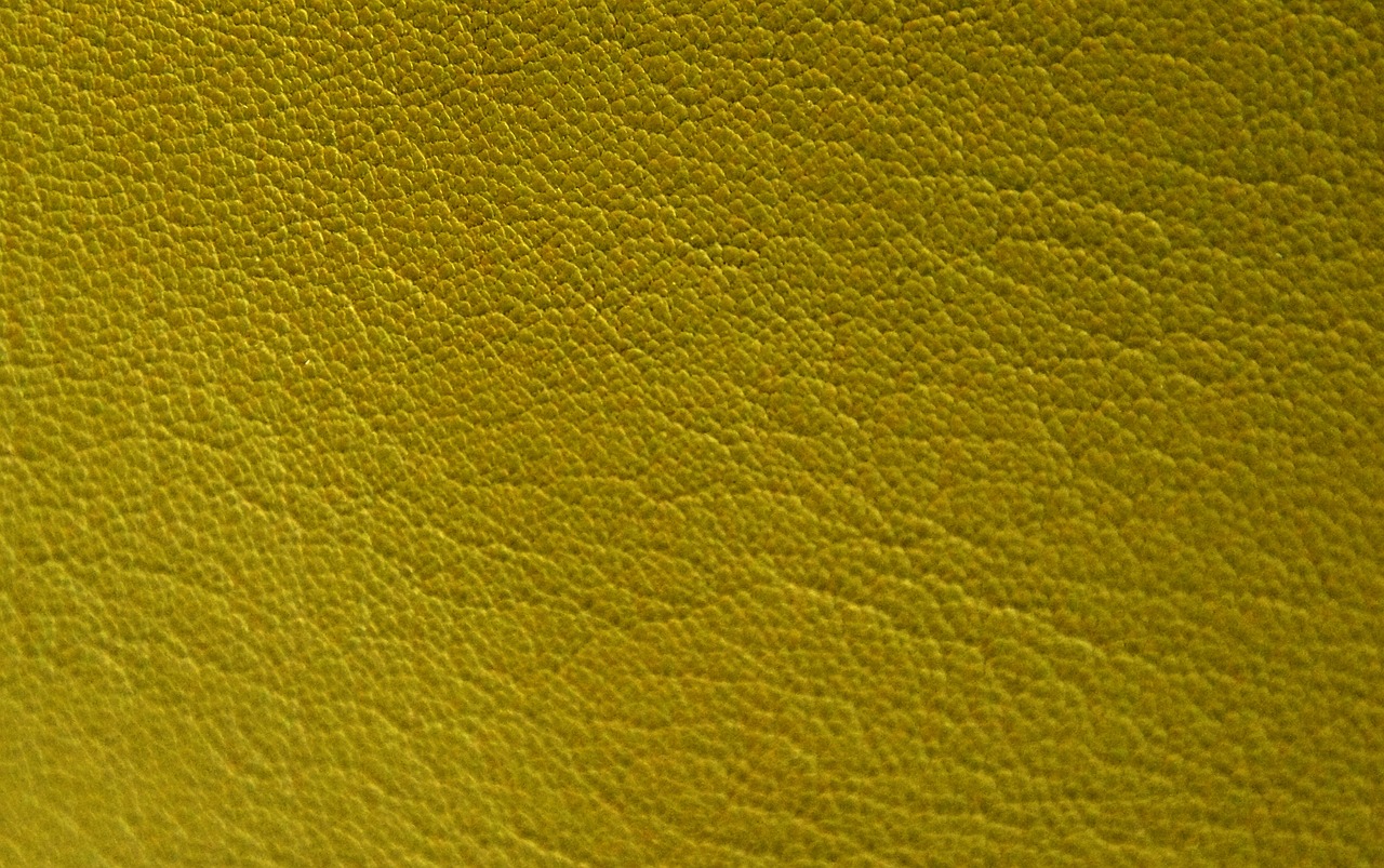 leather yellow greenish free photo