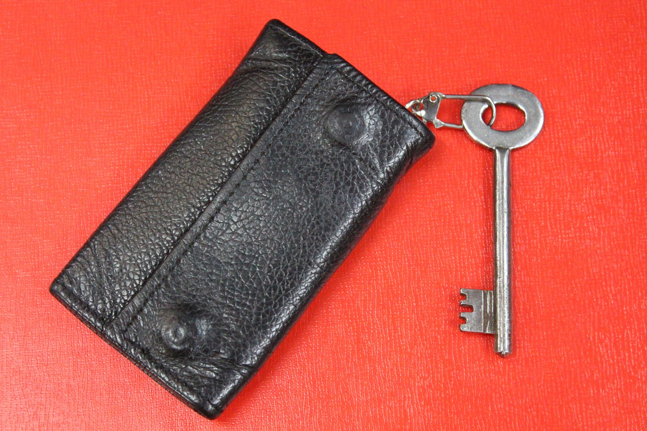 leather key case wallet key chain key free photo