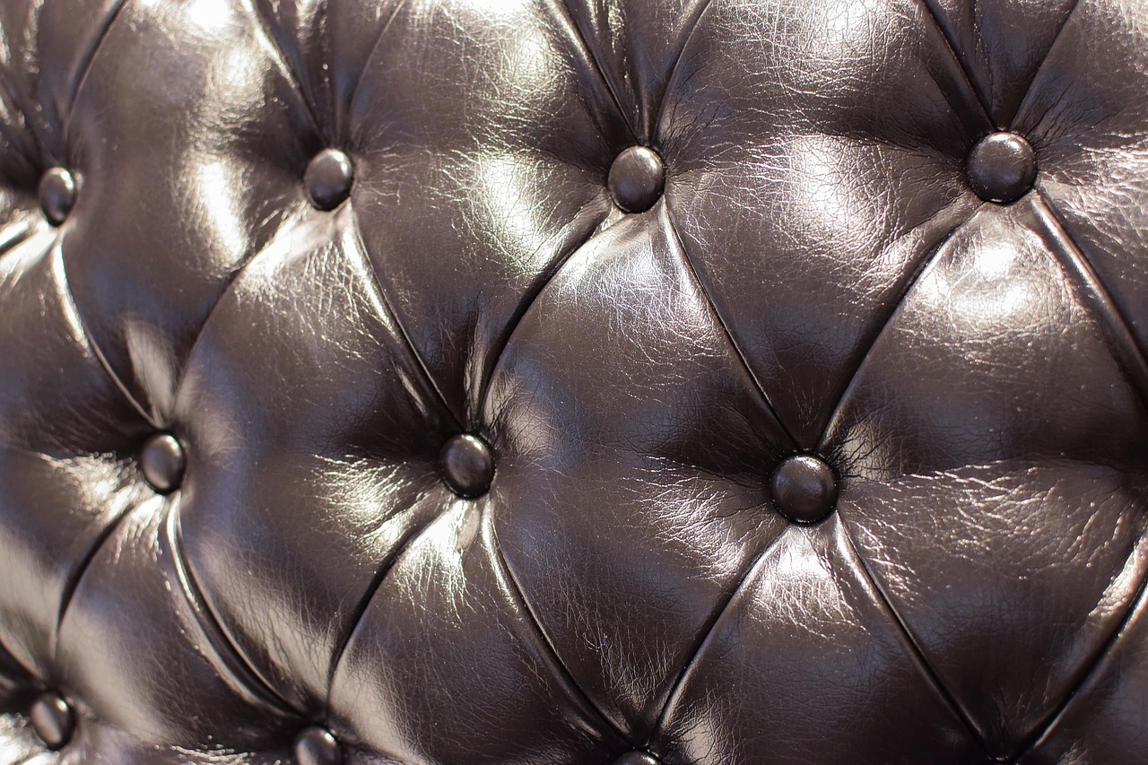 leather sofa drape model free photo