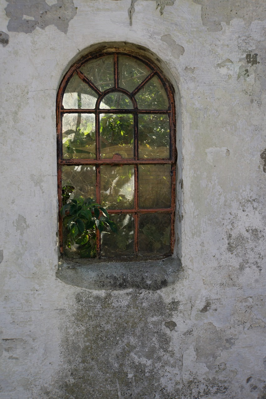 leave decay window free photo