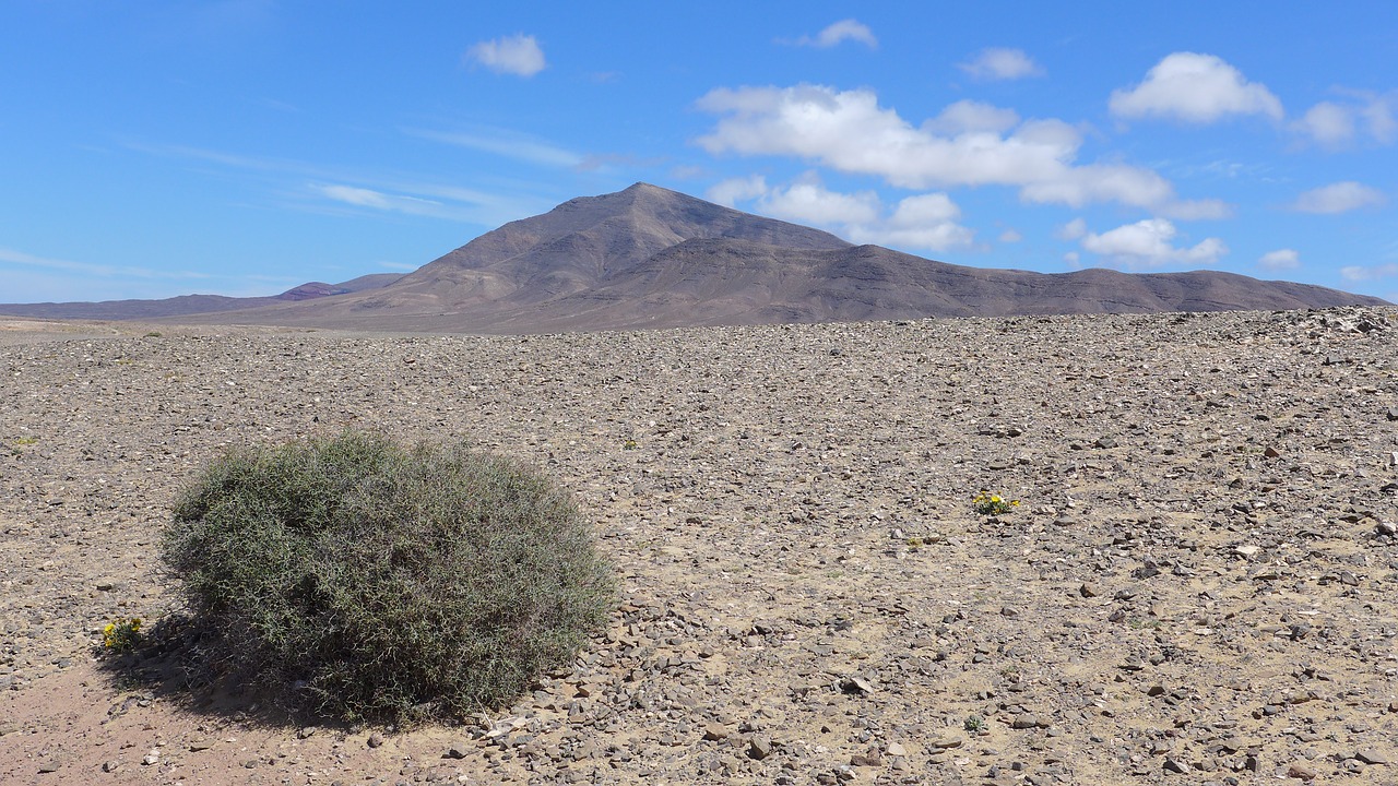 leave lanzarote island free photo