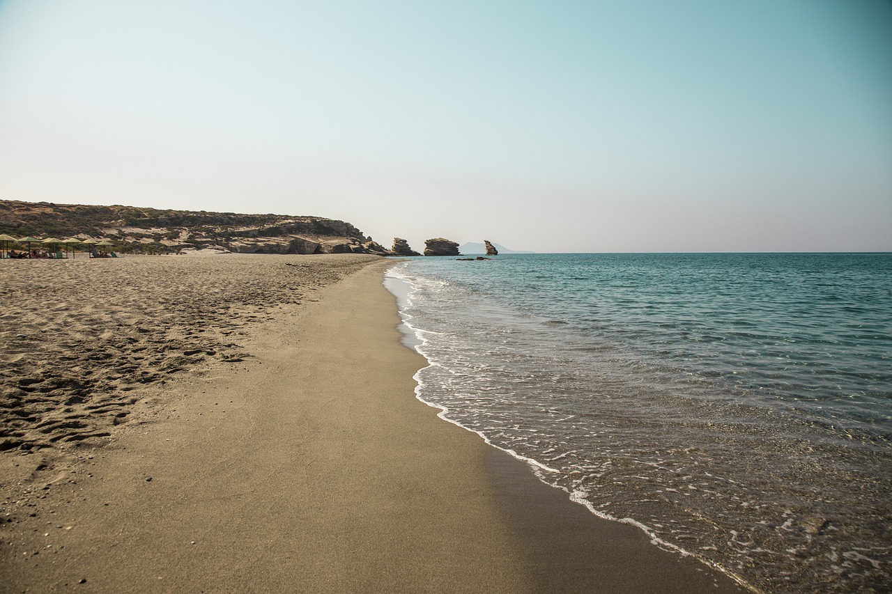 leave sea beach free photo