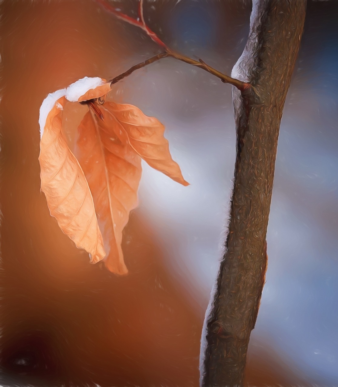 leaves brown branch free photo