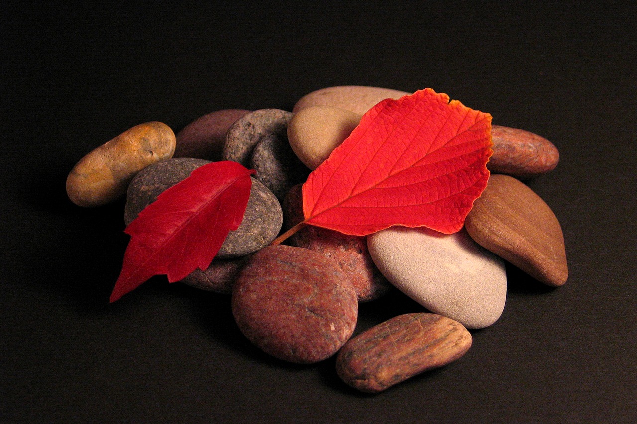 leaves stones autumn free photo