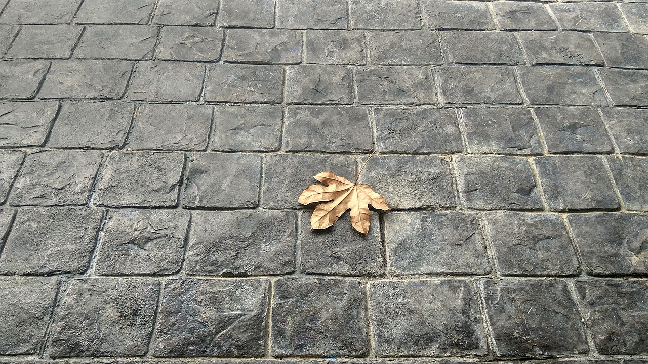 leaves brick floor free photo