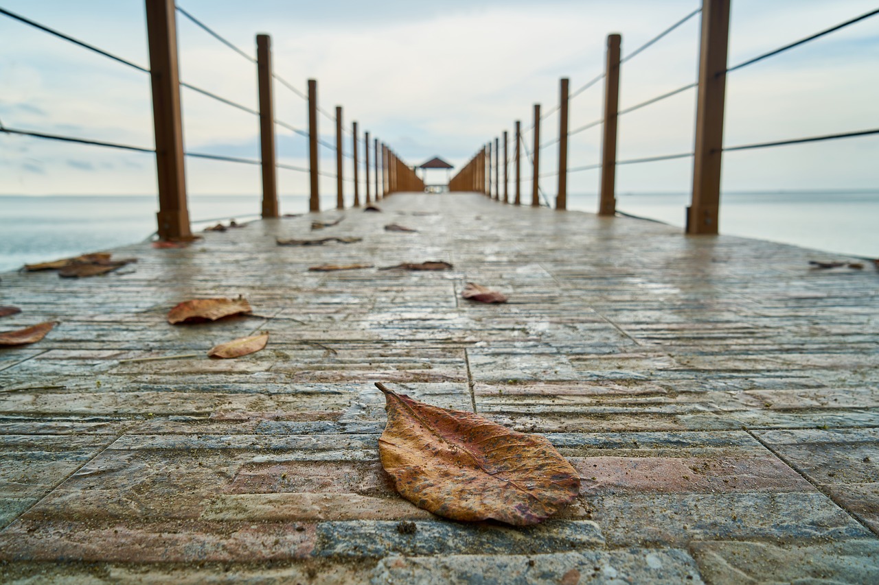 leaves landscape bridge free photo