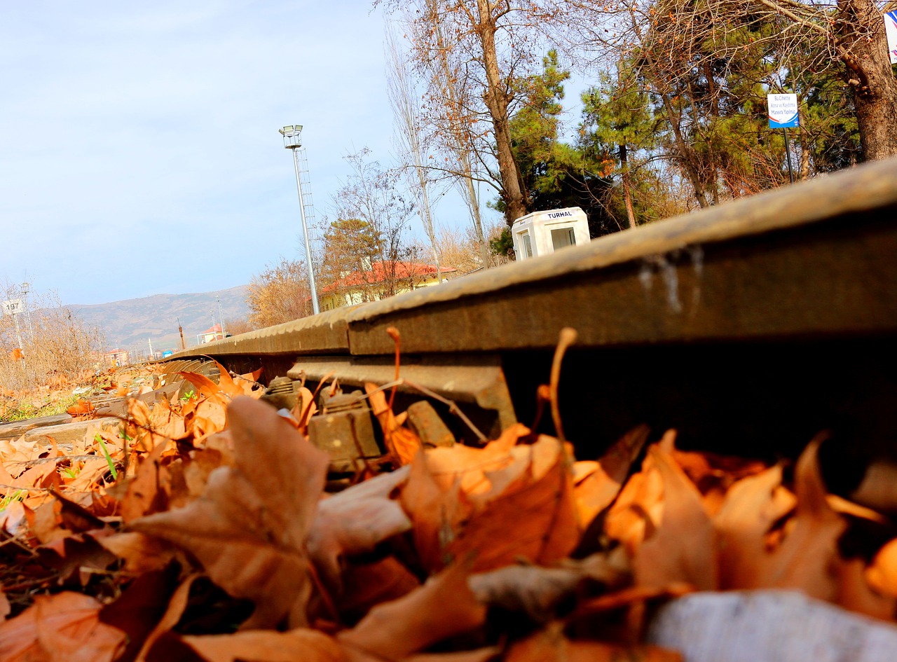 leaves train train path free photo