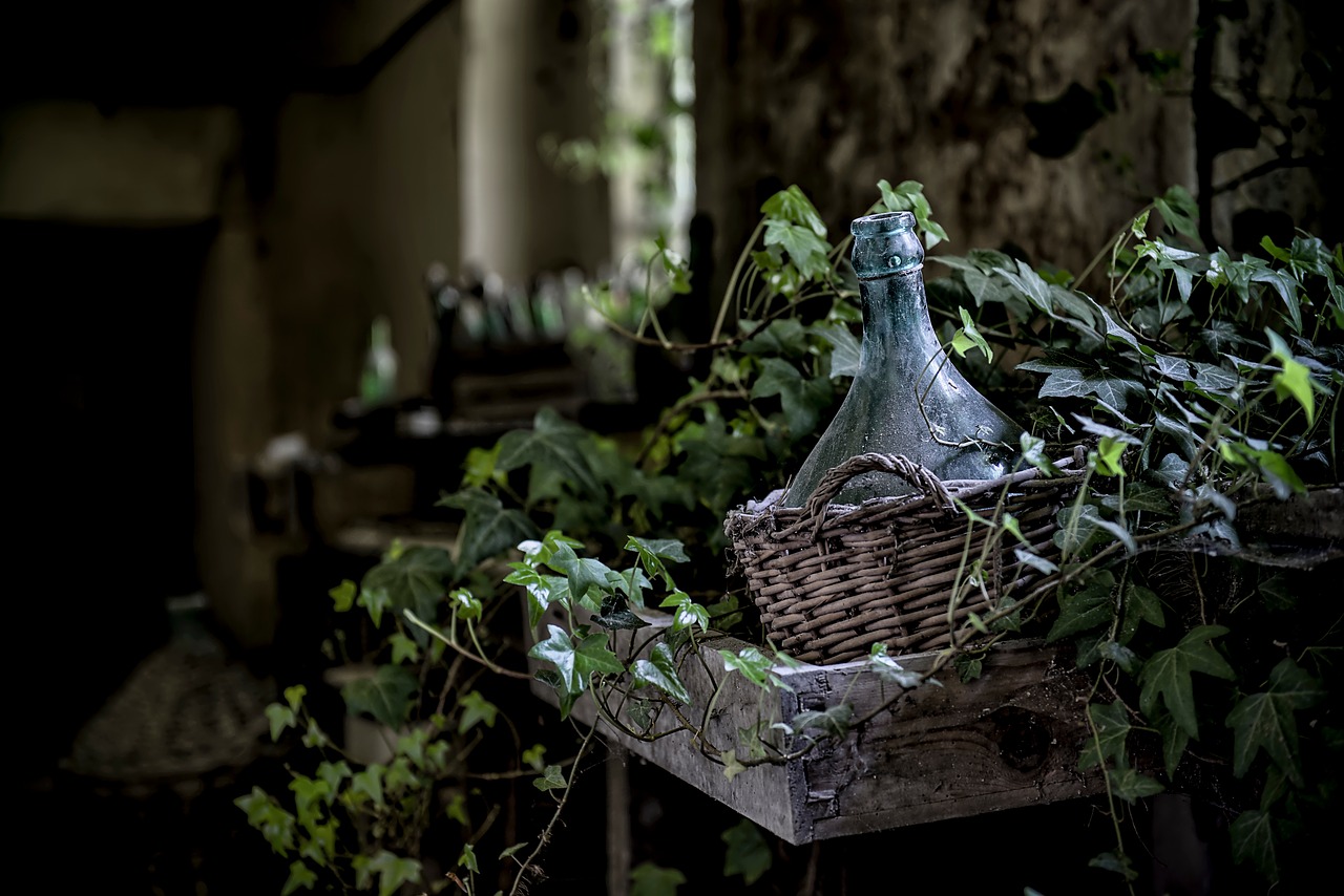 leaves vines basket free photo