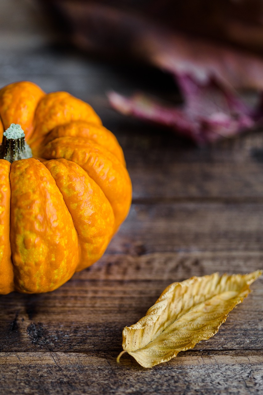 leaves pumpkin halloween free photo