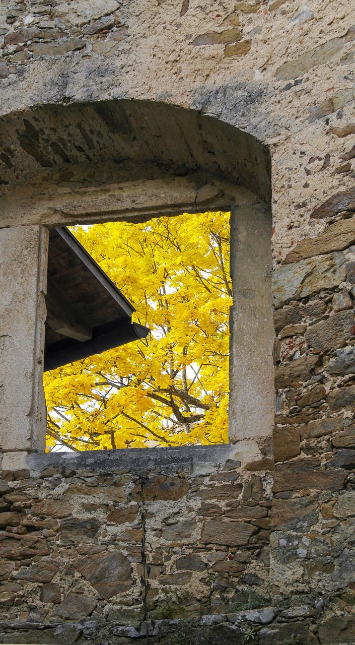 leaves autumn wall free photo