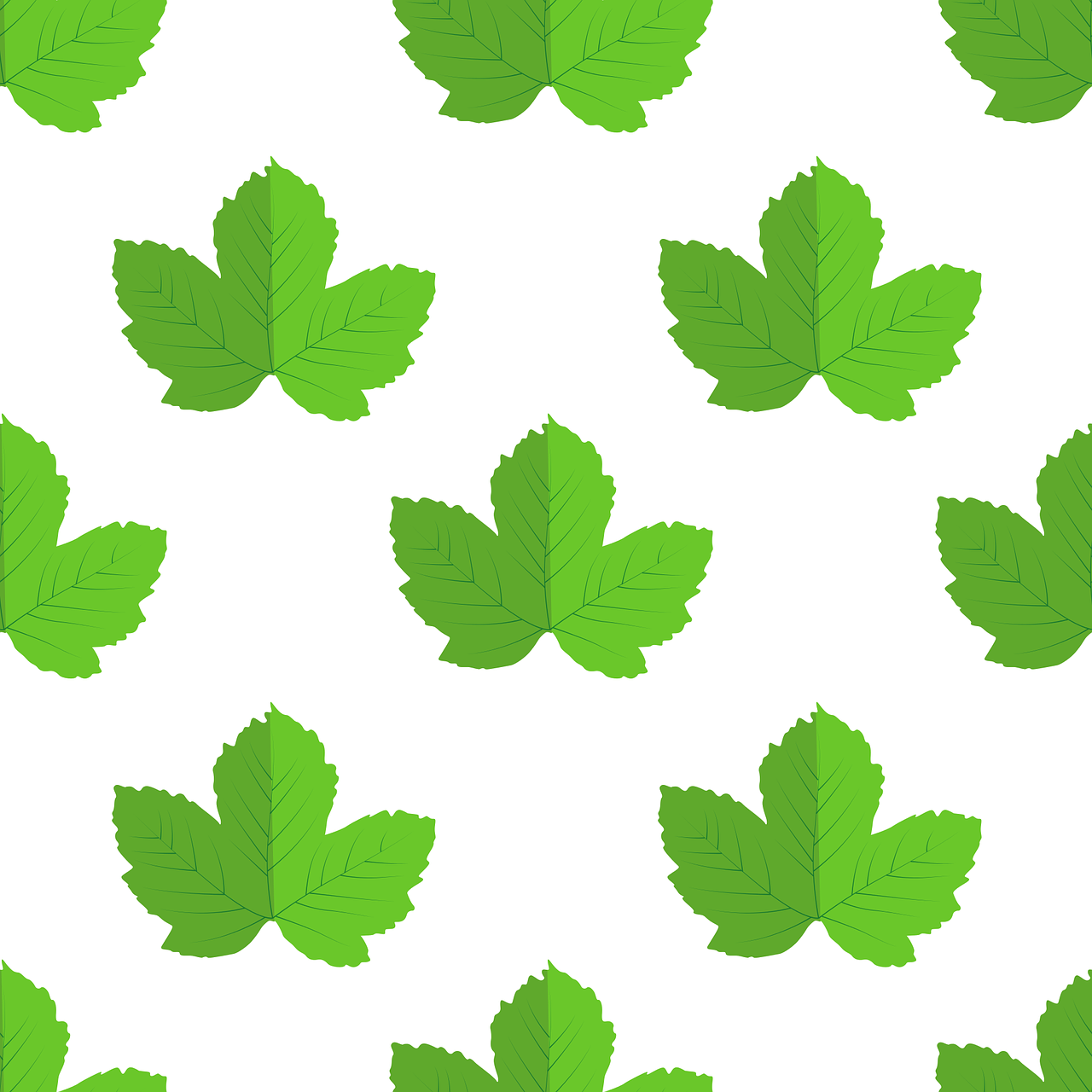 leaves vector nature free photo