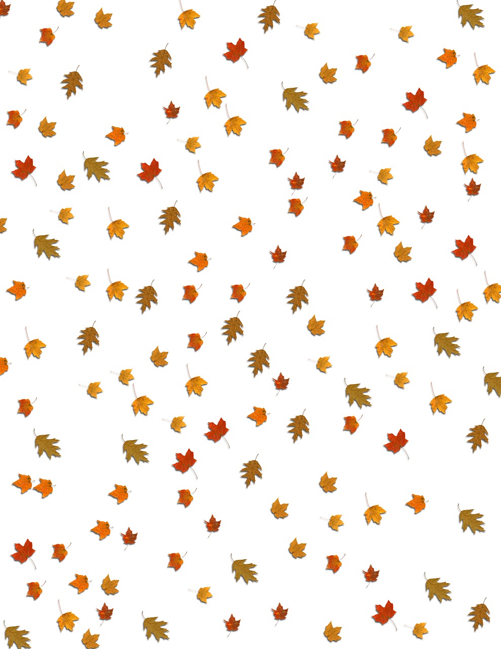 Download free photo of Leaves,fall,falling,background,fall leaves background  - from 