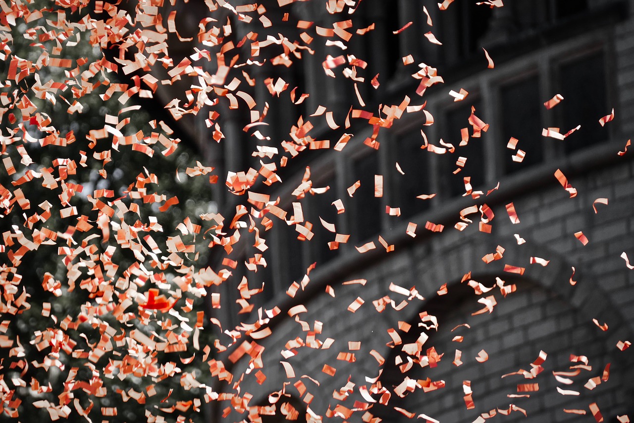 leaves  wind  confetti free photo