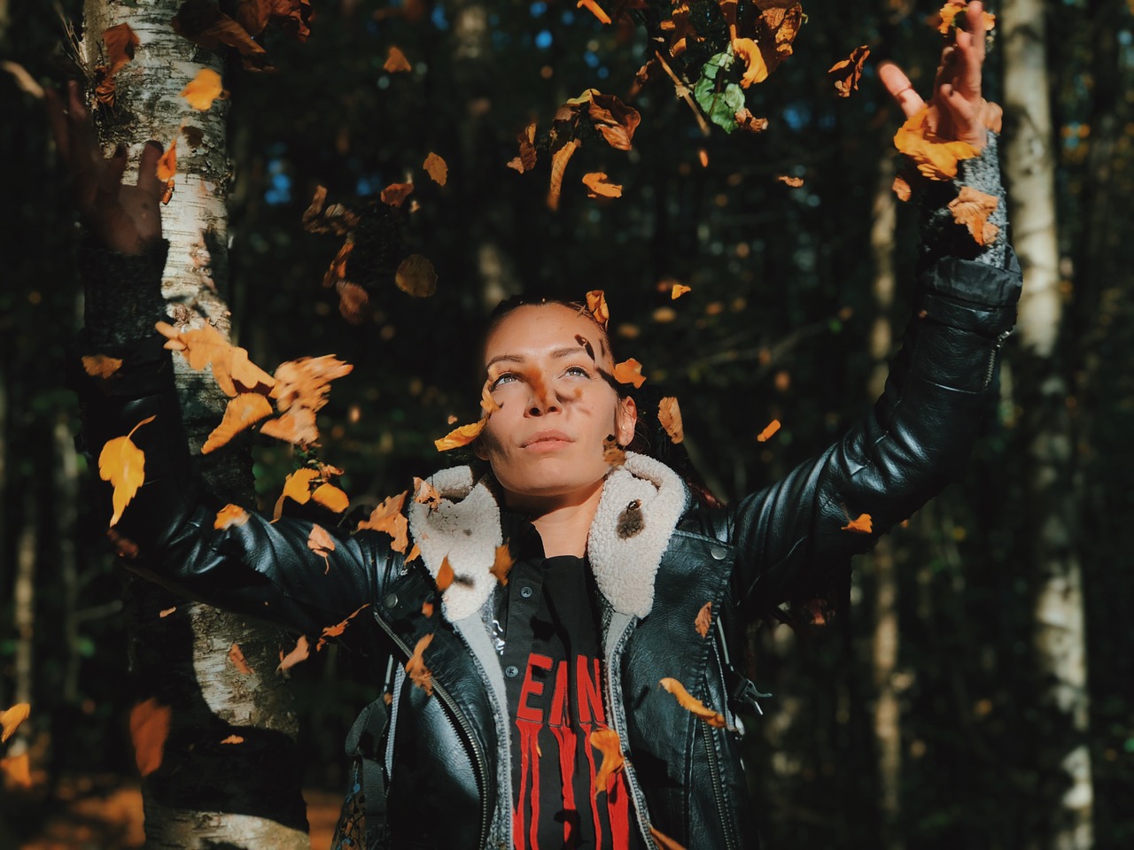 leaves  leather jacket  forest free photo