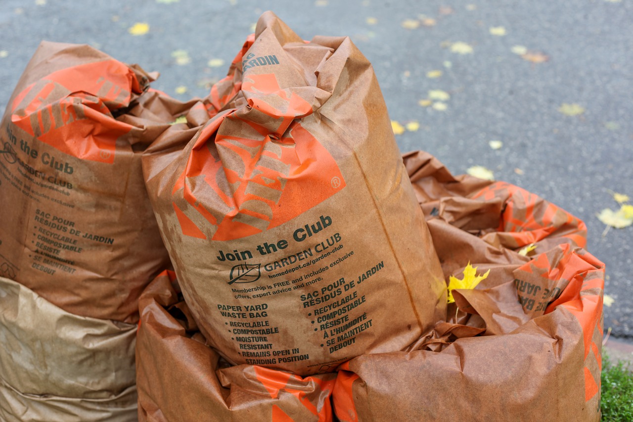 leaves  organic waste  lukewarm free photo