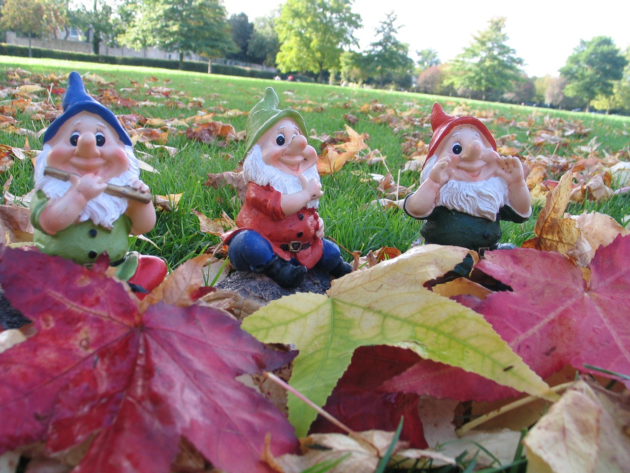 leaves gnome dwarf free photo