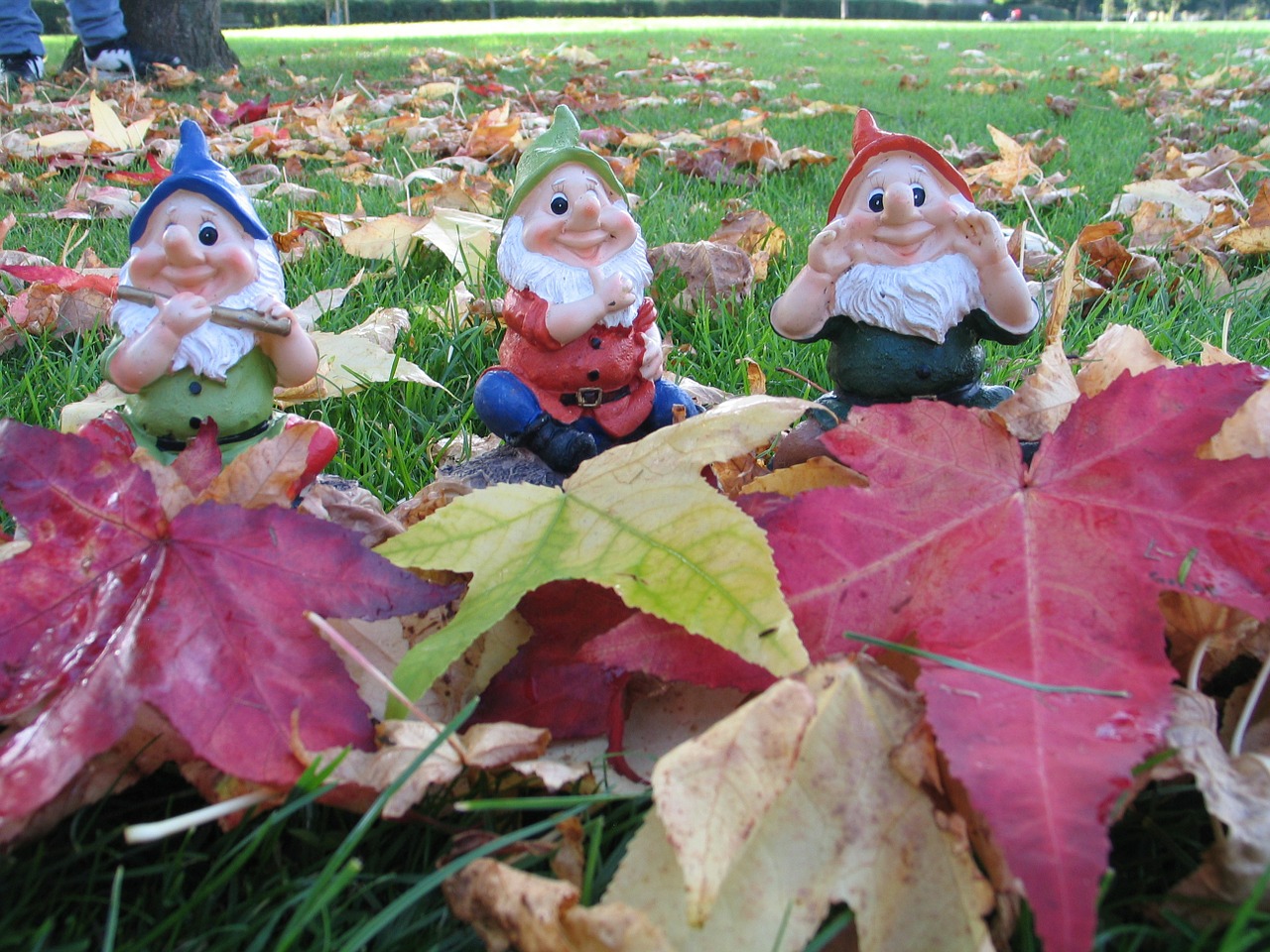 leaves gnome dwarf free photo