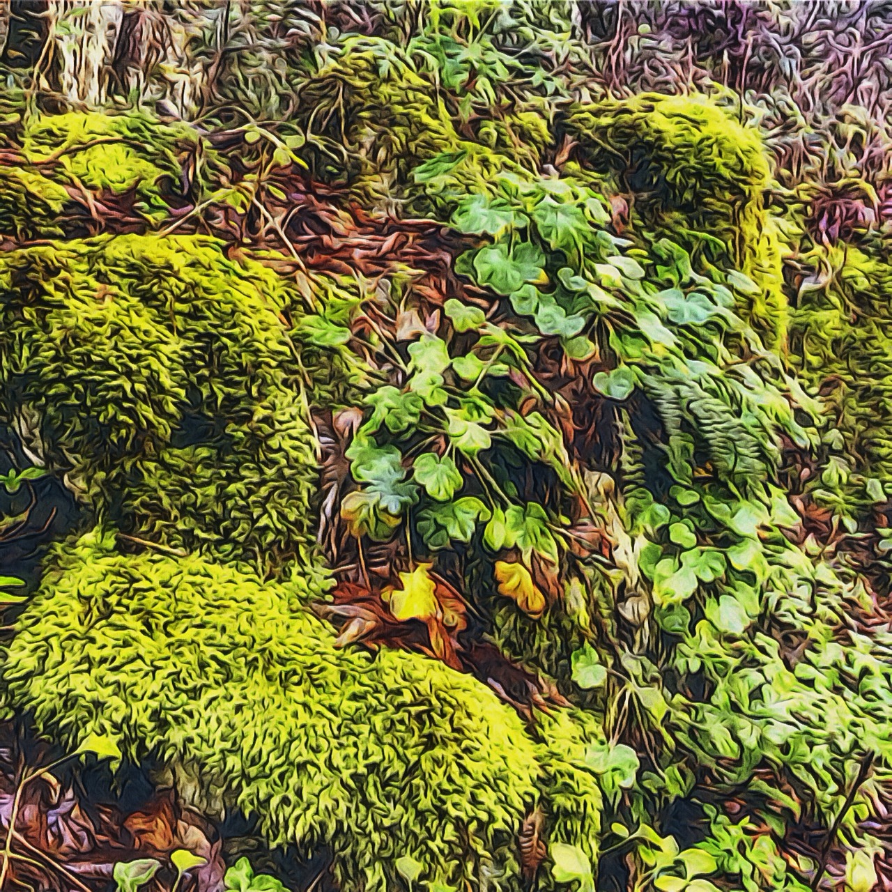 leaves forest grass free photo