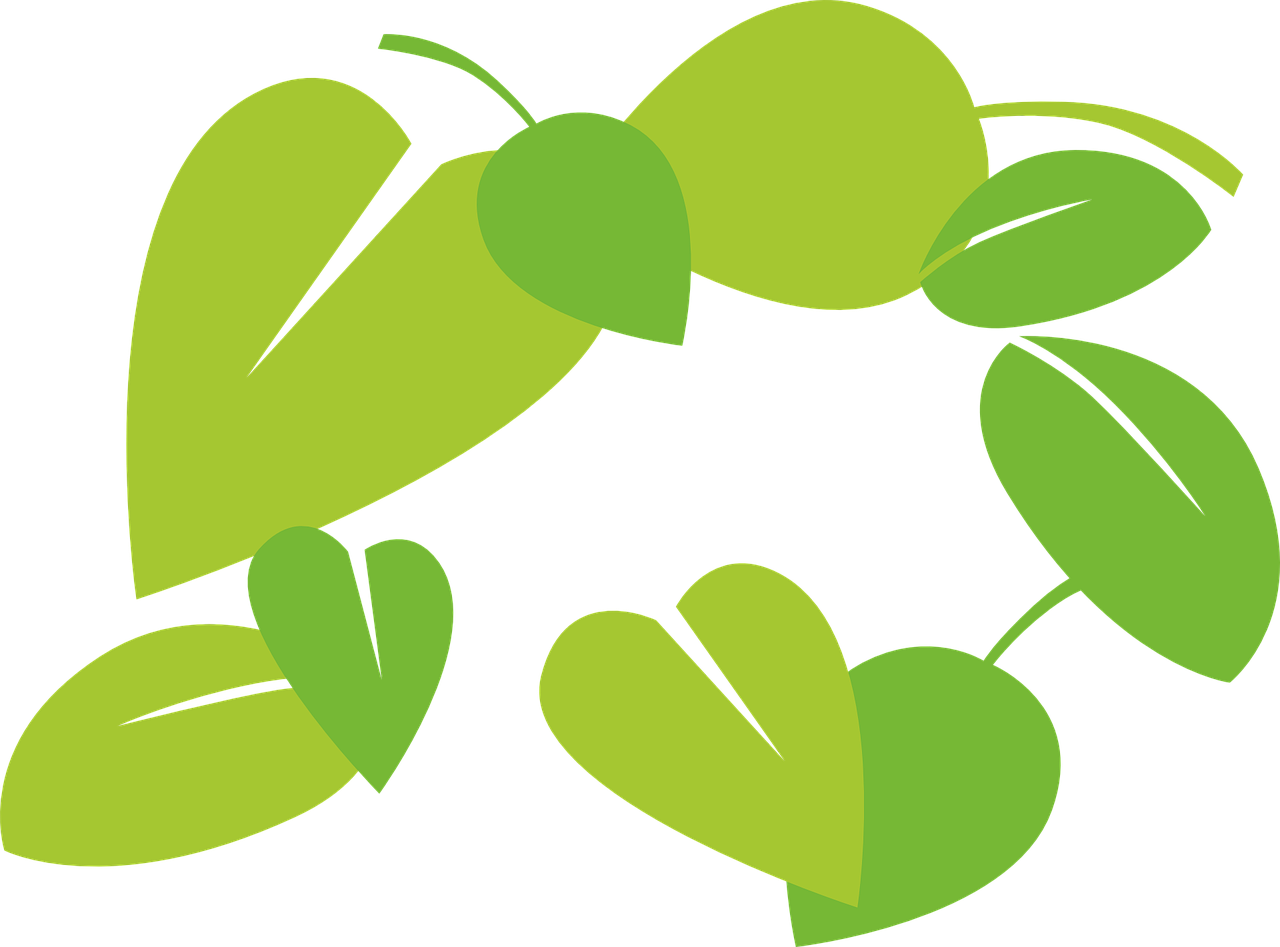 leaves vector green free photo