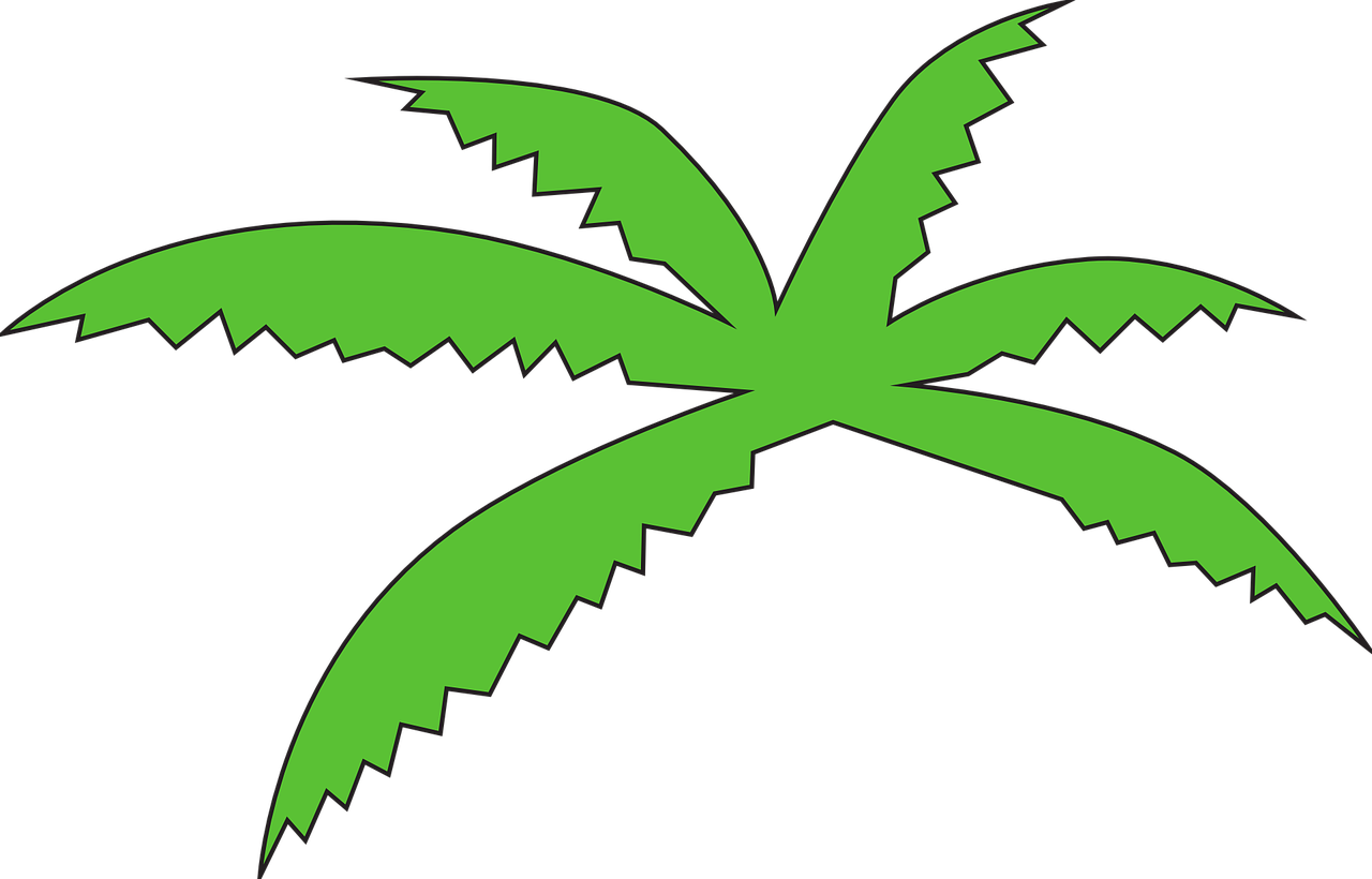 leaves green vector free photo