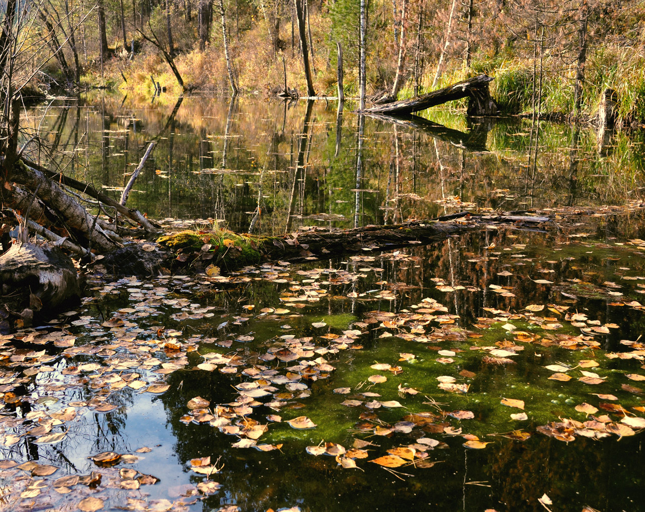 autumn landscape water free photo