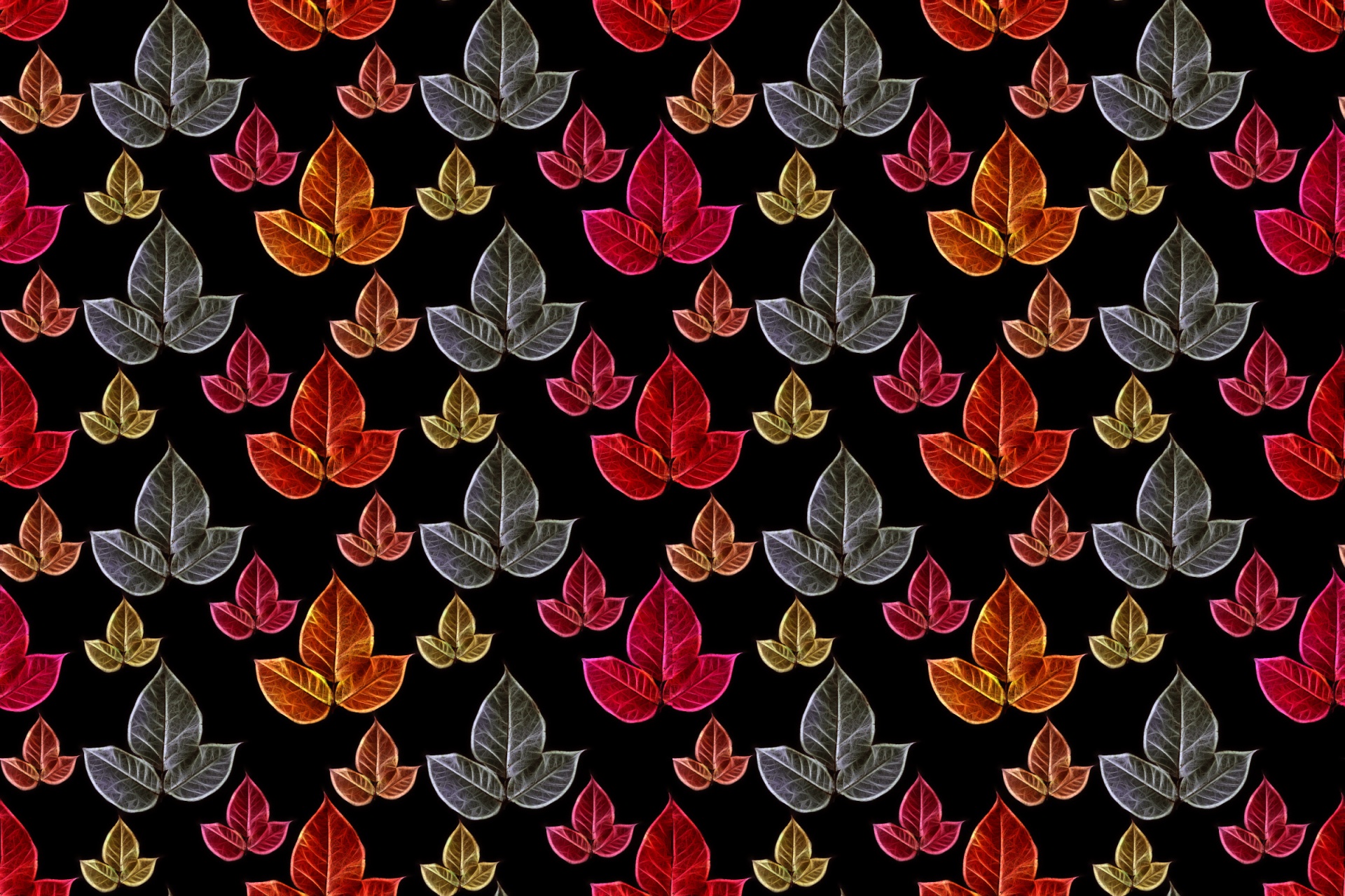 leaves pattern colors free photo