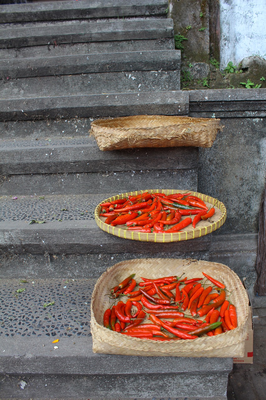 lebar cm island red pepper red hot chili peppers free photo