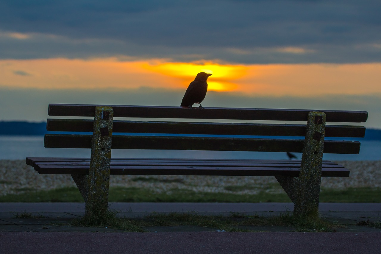 lee on solent england sunset free photo