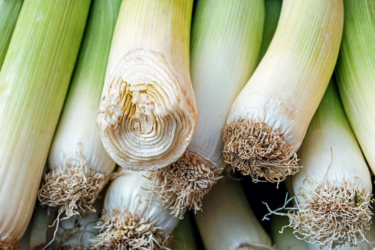 leek vegetables raw free photo