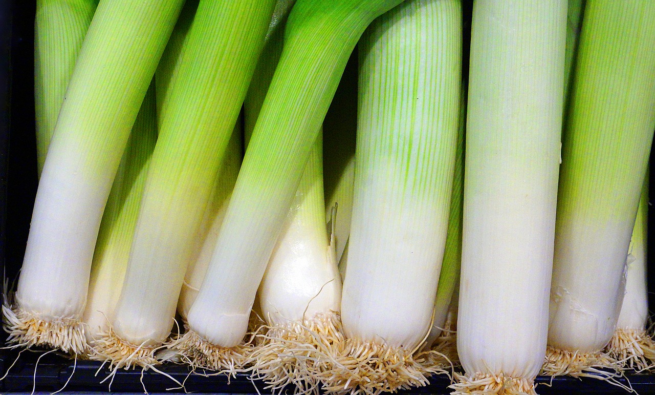 leek  vegetables  fresh free photo