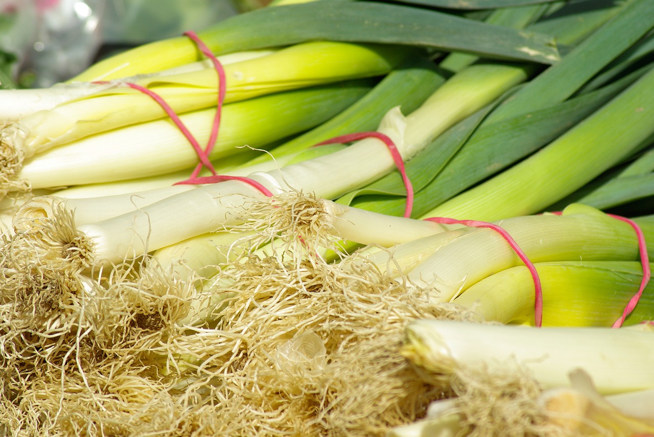 leeks vegetables vegetable garden free photo