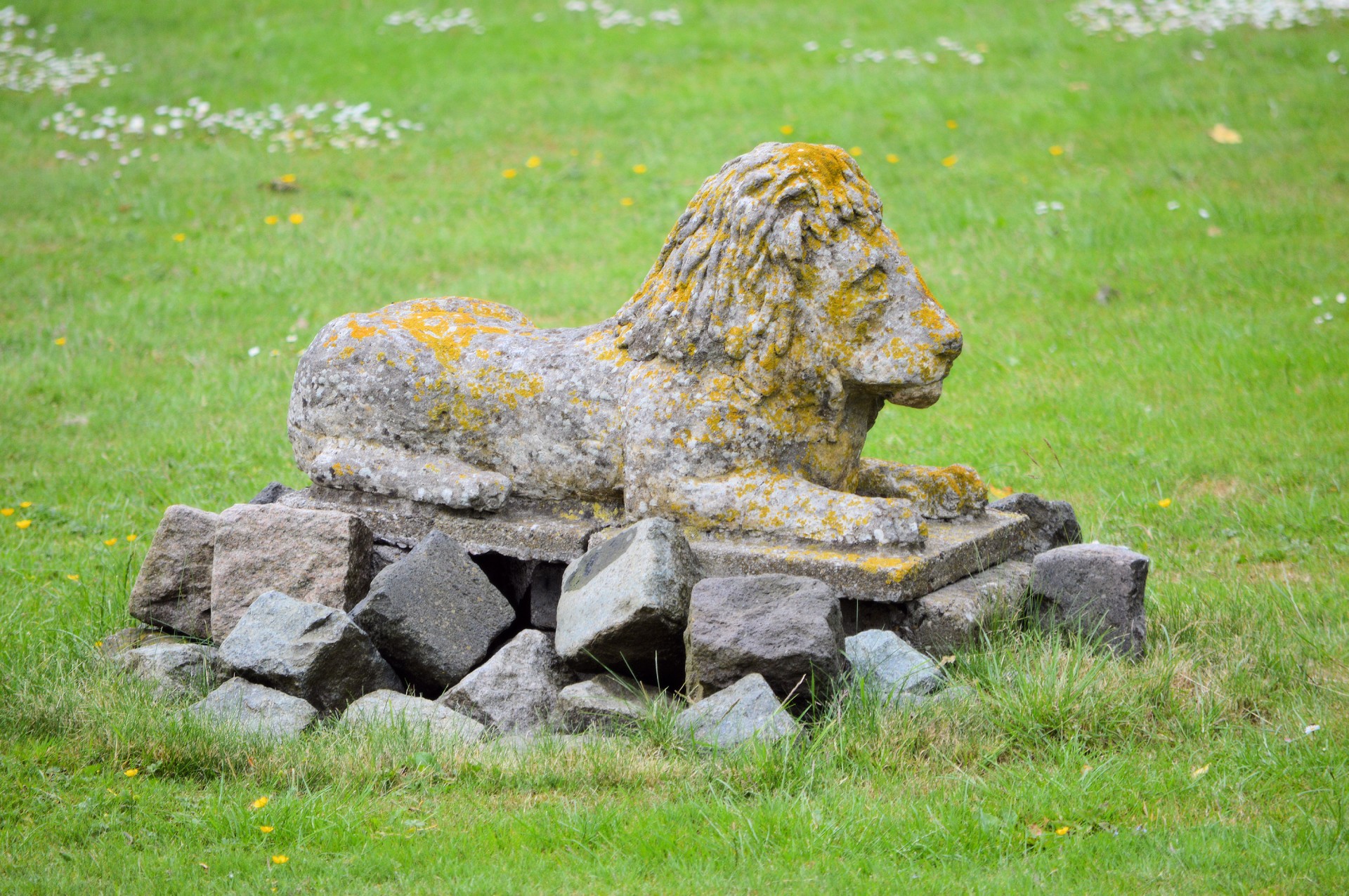 lion statue stone free photo