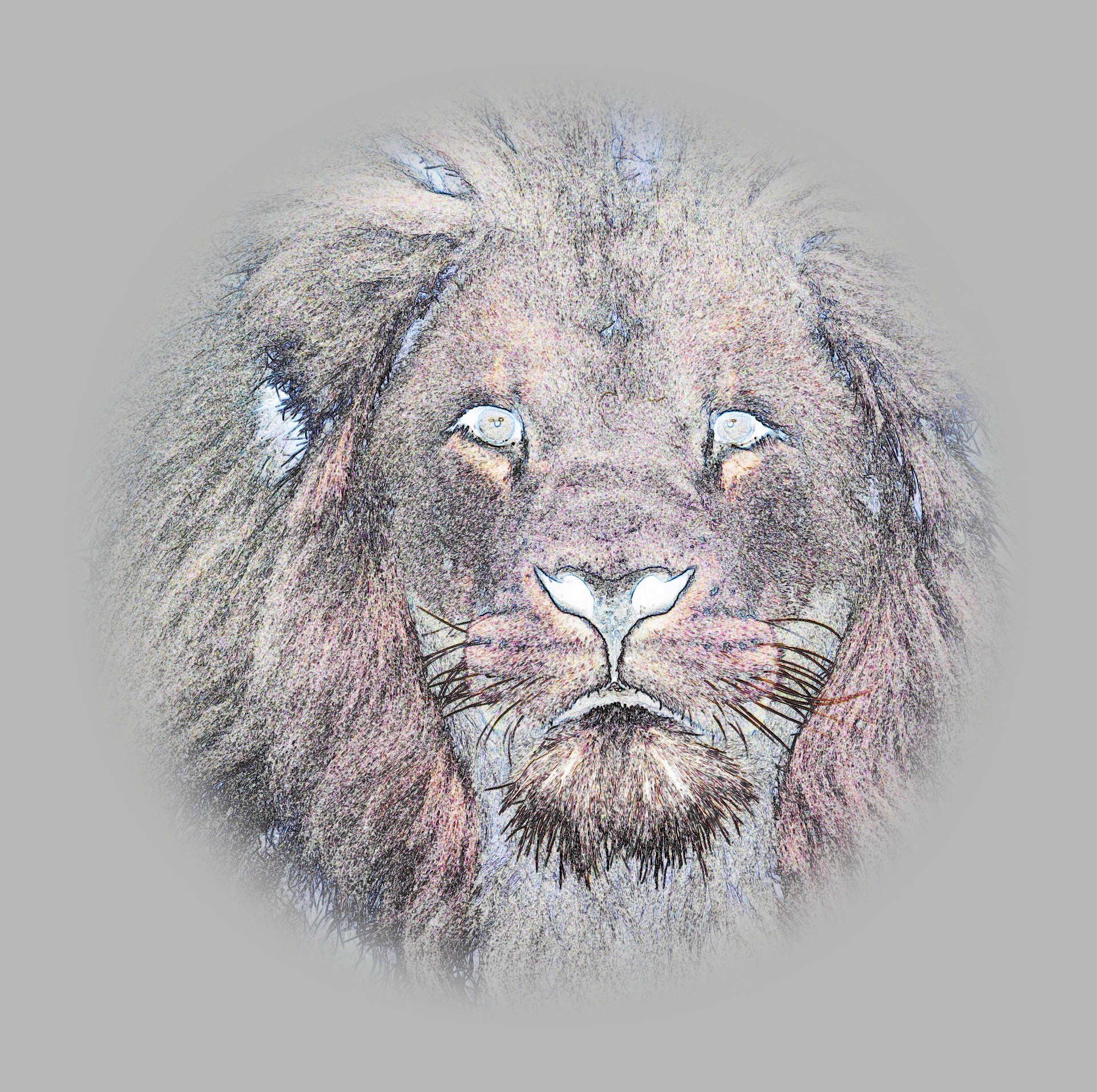 lion head sketch free photo