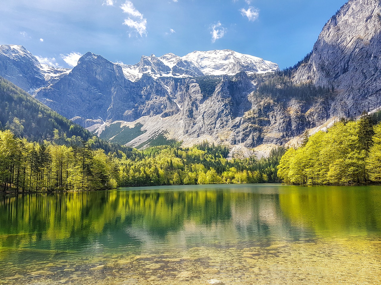 leggy  lake  austria free photo