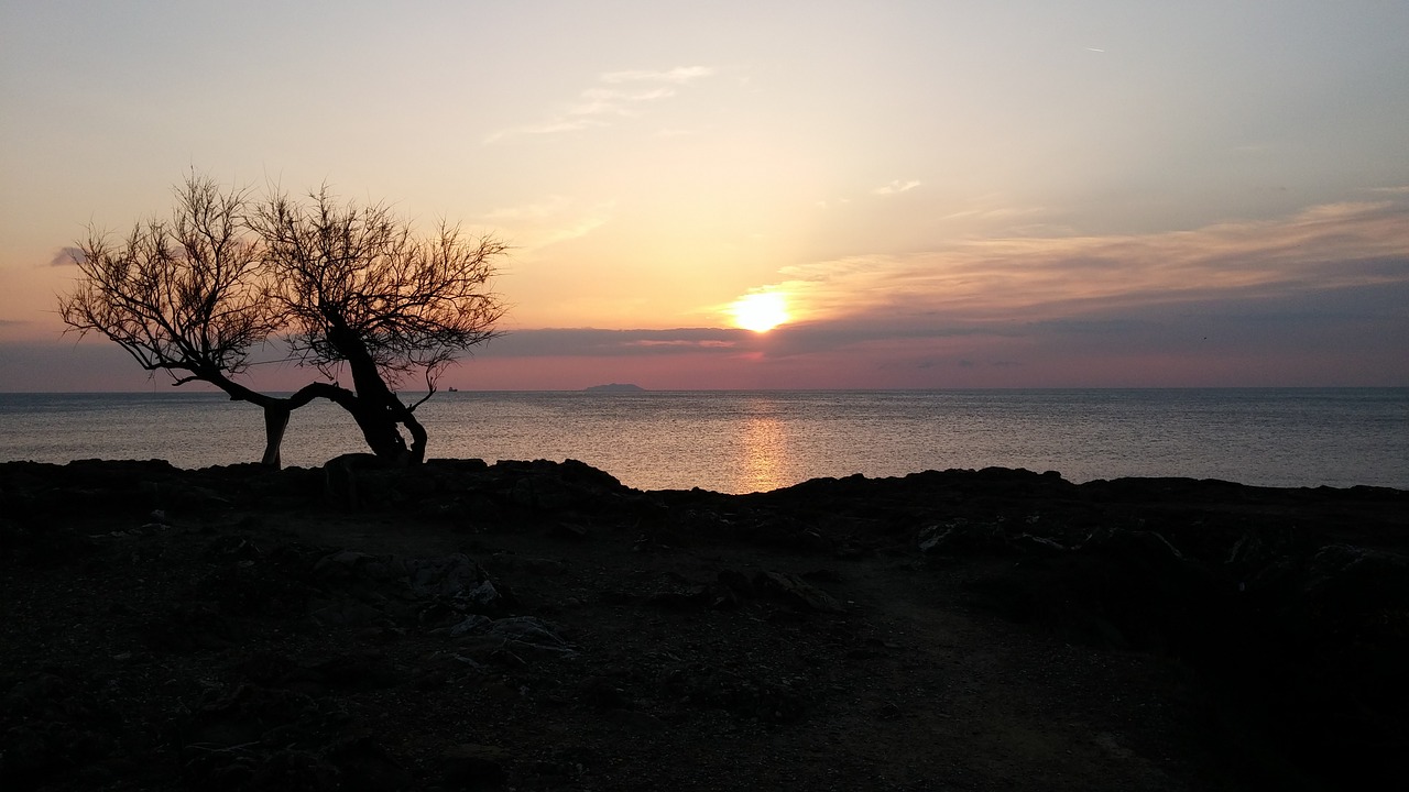 leghorn sunset tamarisk free photo