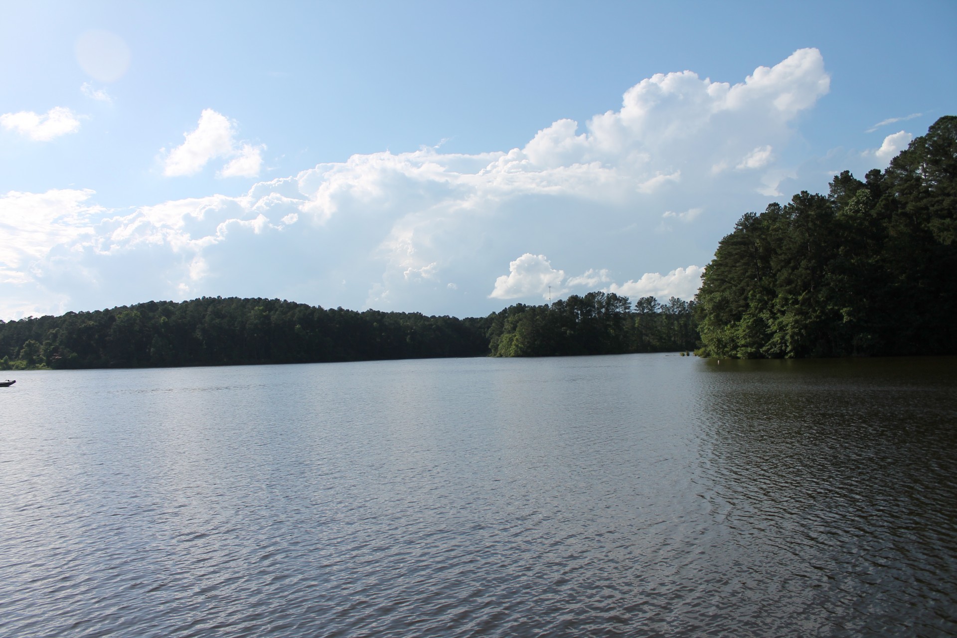 lake water trees free photo