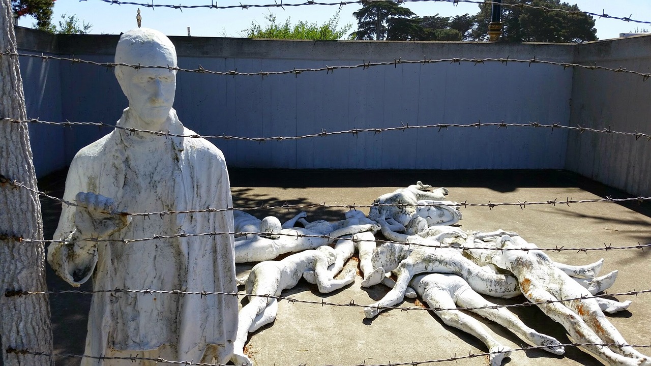 legion of honor art installation west coast free photo