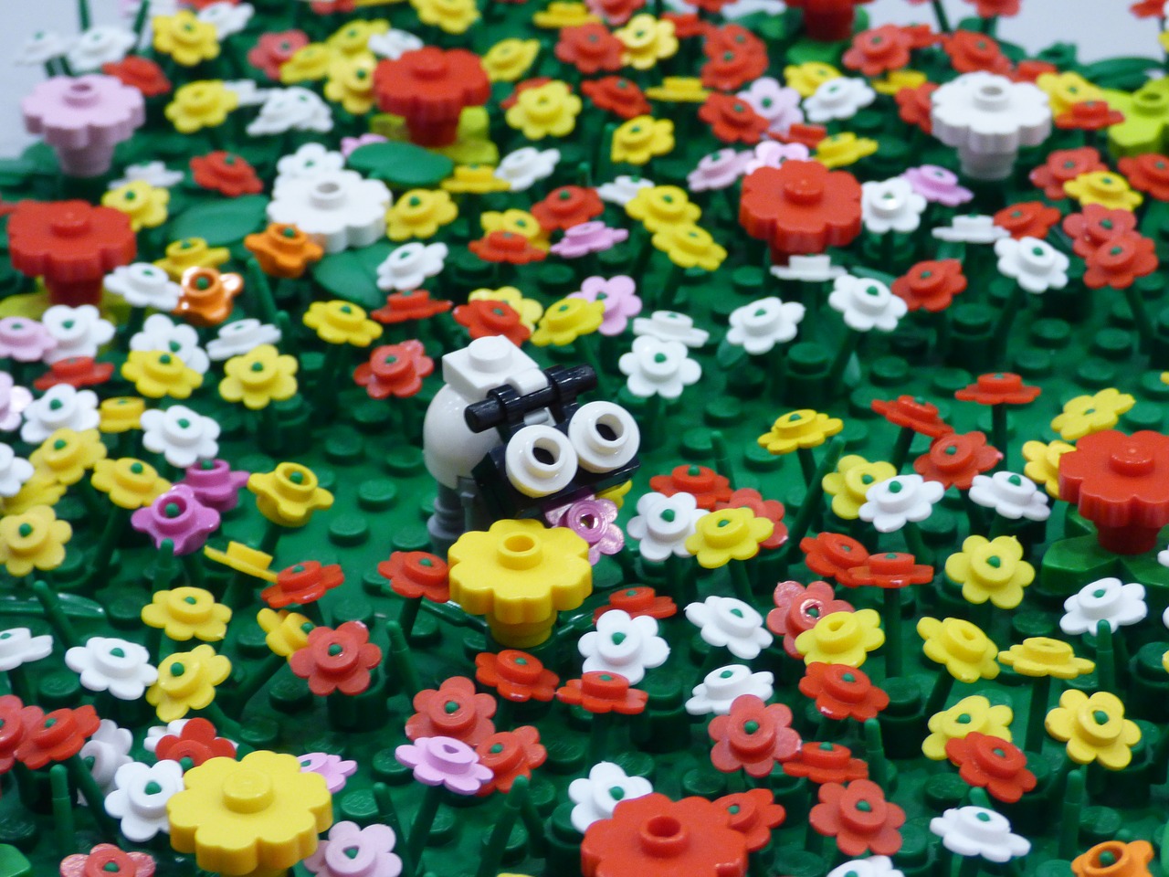 lego pads meadow free photo