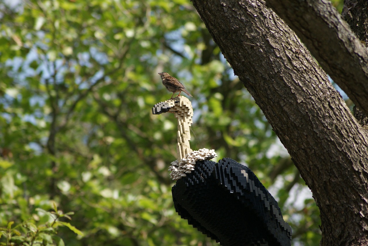 lego the sparrow the vulture free photo