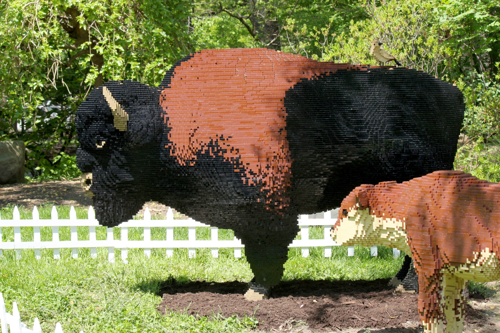 lego buffalo calf free photo