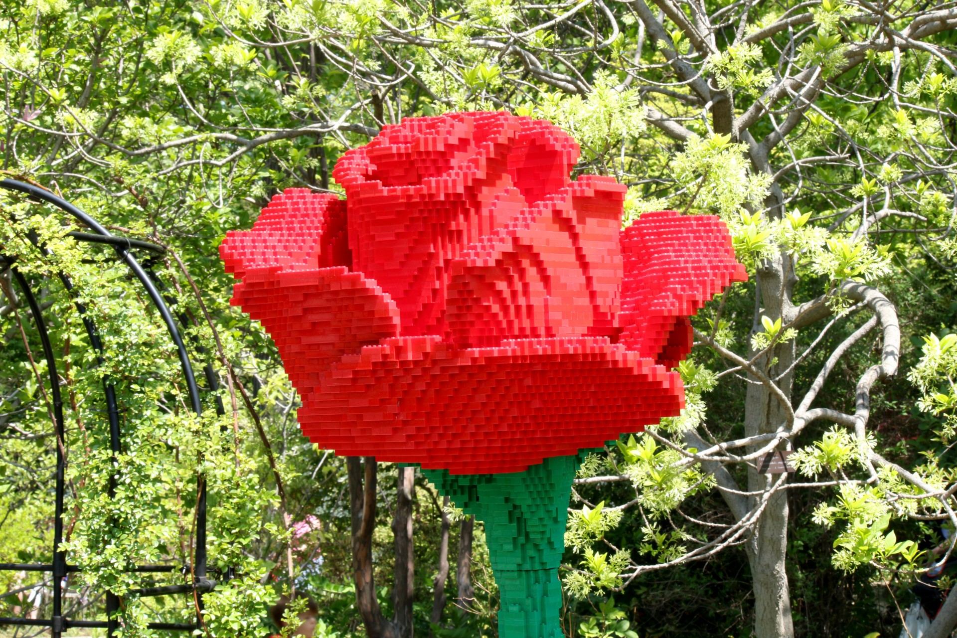 lego rose red free photo