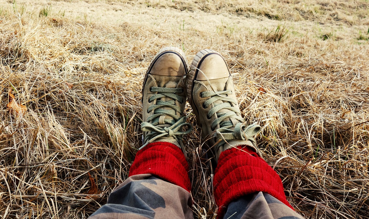 legs feet woman free photo